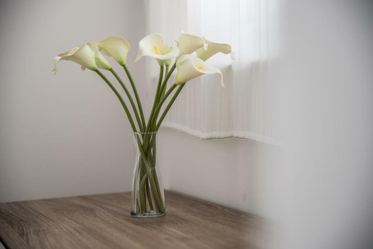 Terrazzo Siciliano Apartment Riposto ภายนอก รูปภาพ